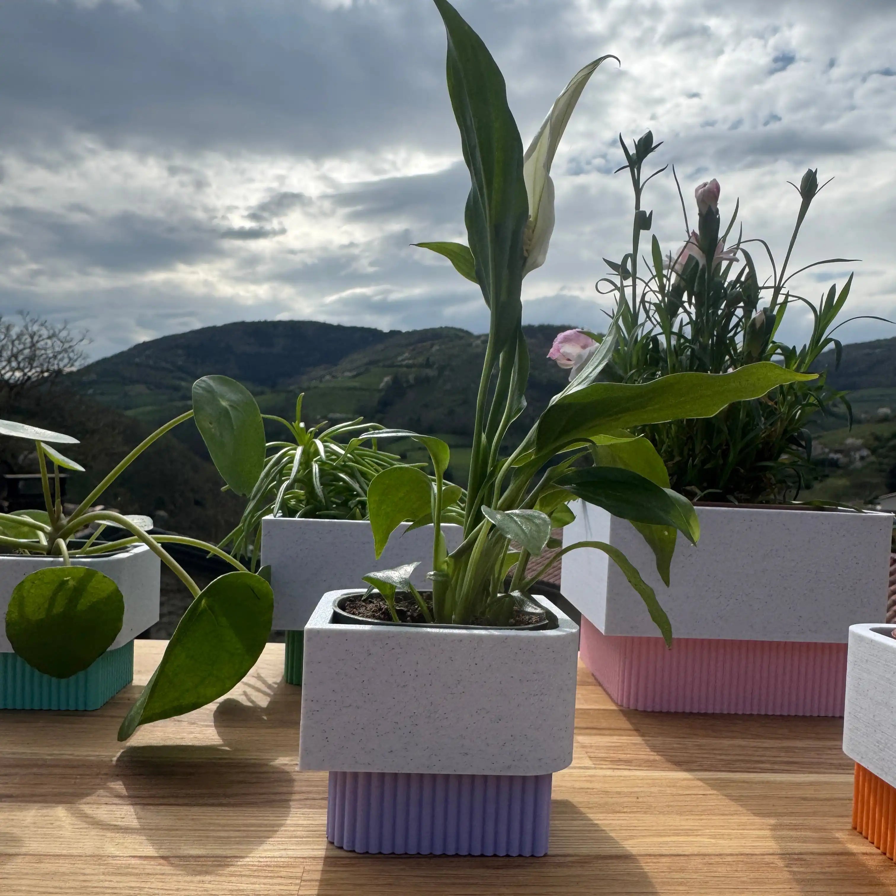 DRYAS – The wall-mounted planter with clean lines