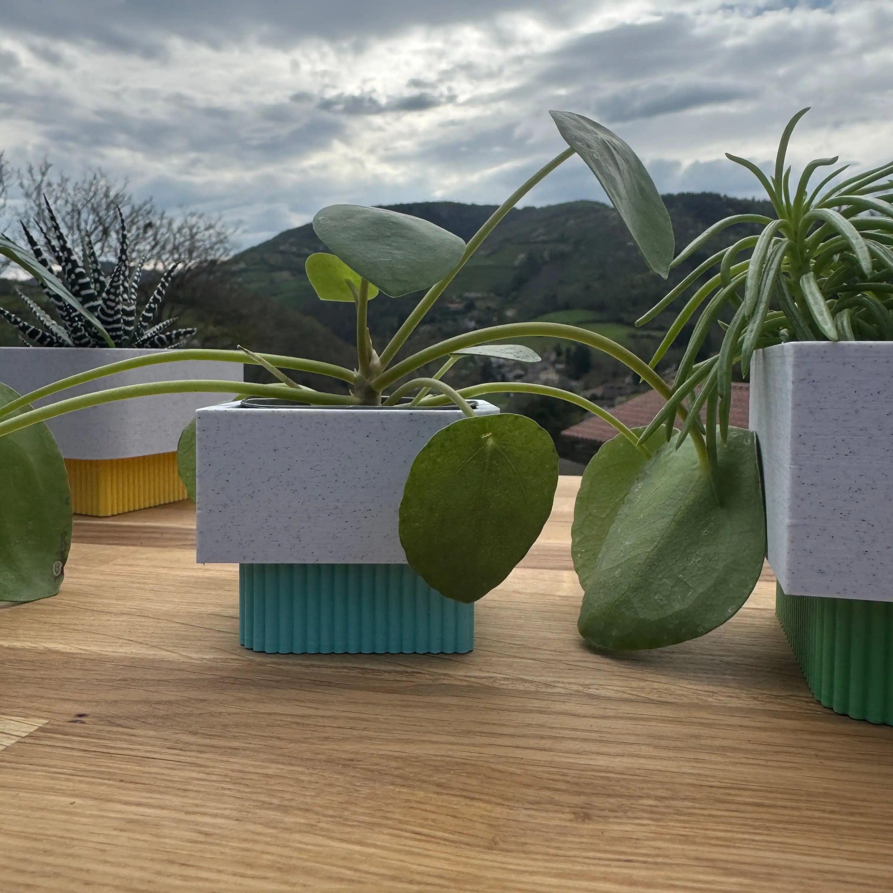 Cache-pot mural bleu arctique made in France