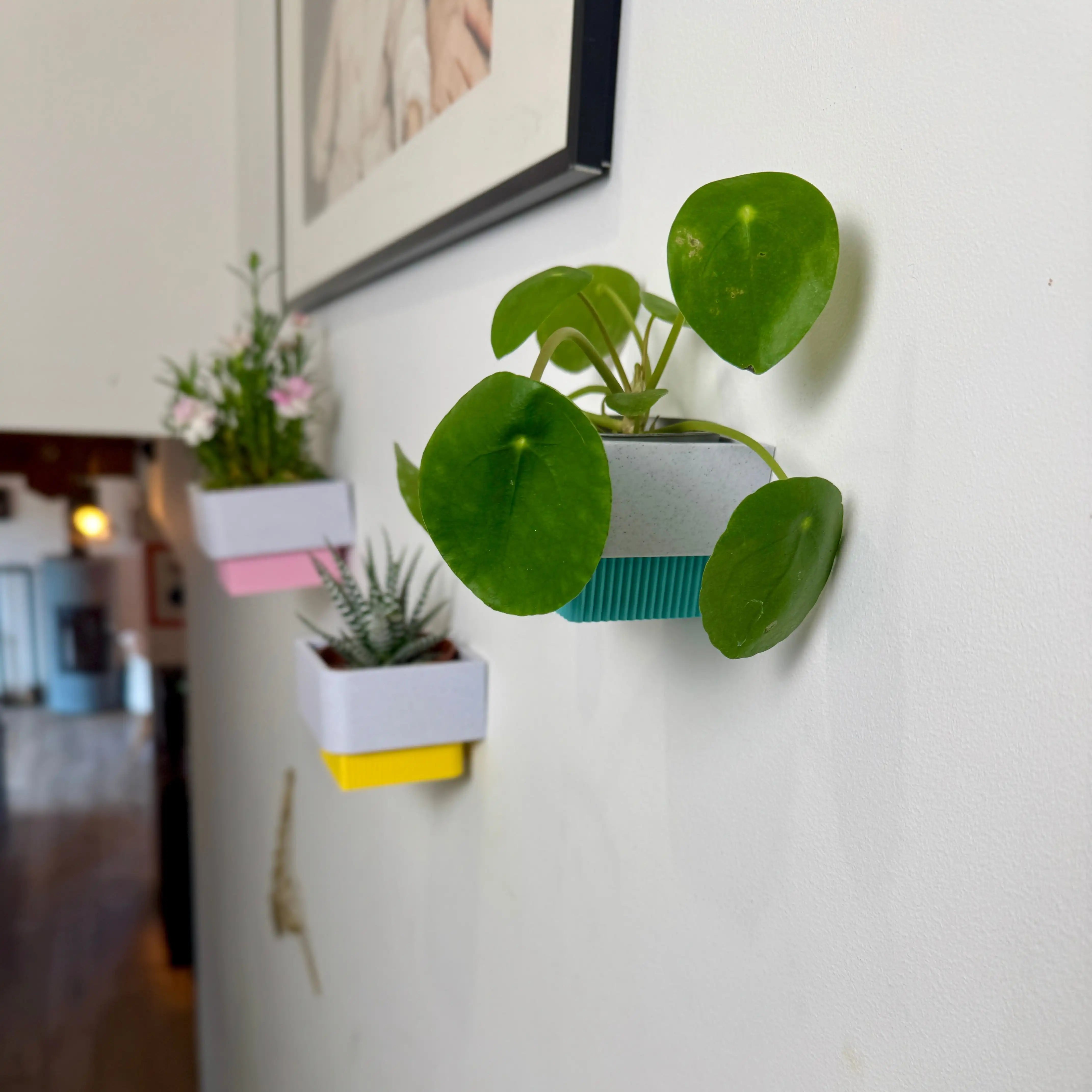 cache-pot mural design et de fabrication française