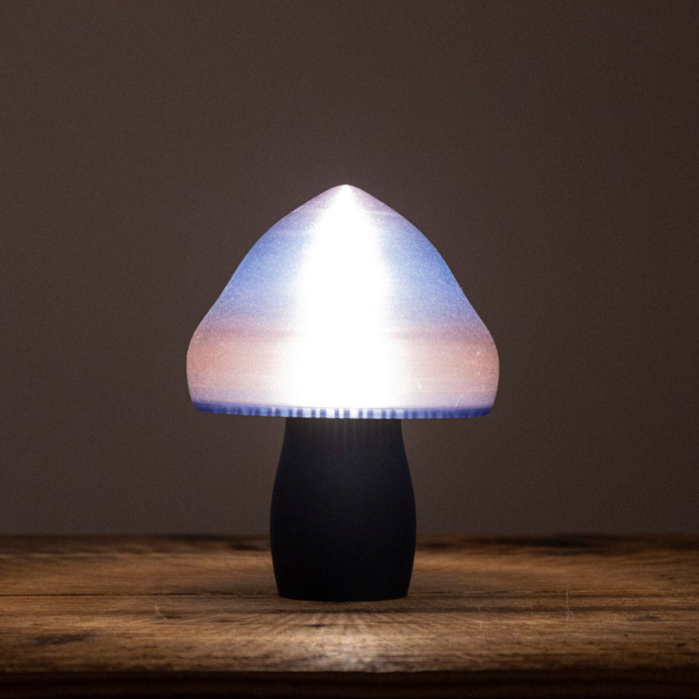 La lampe champignon dégradée rose et bleu, entièrement réalisé en amidon grace à l'impression 3D